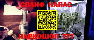 гашик Тара
