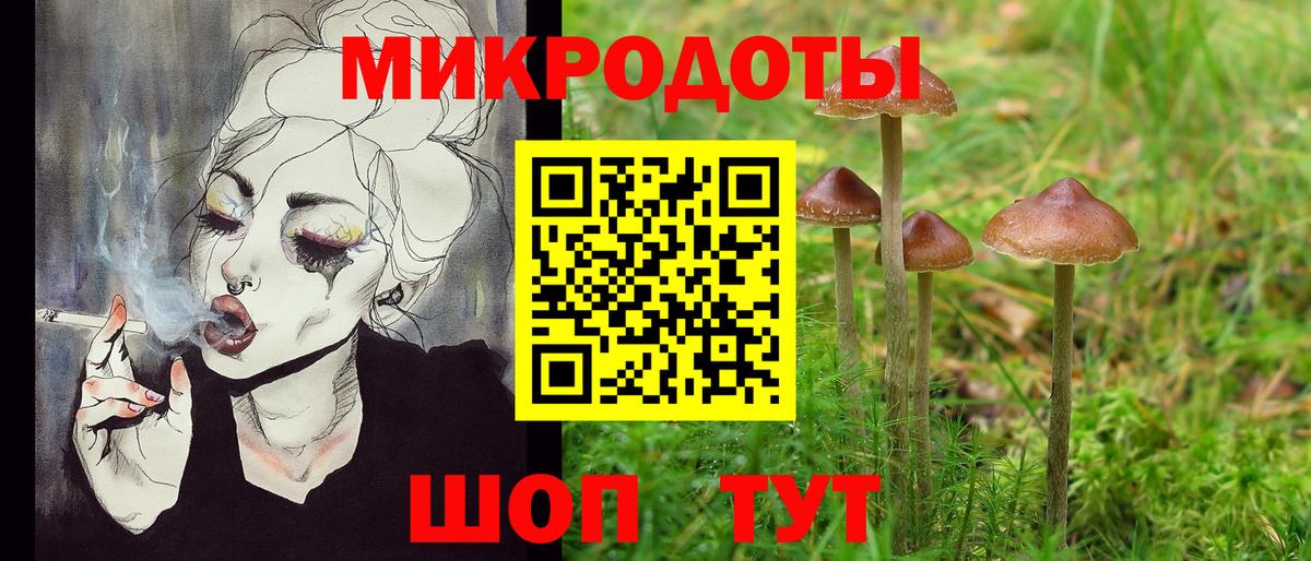 Псилоцибиновые грибы GOLDEN TEACHER  Вход с VPN  Ногинск  Псилоцибиновые грибы прущие грибы 