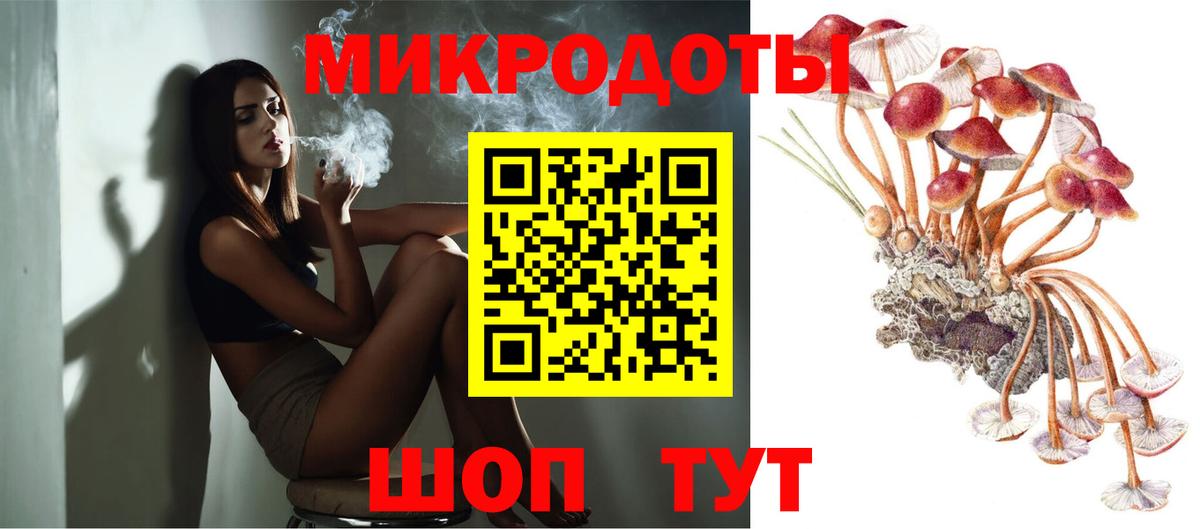 Псилоцибиновые грибы Psilocybe Ногинск